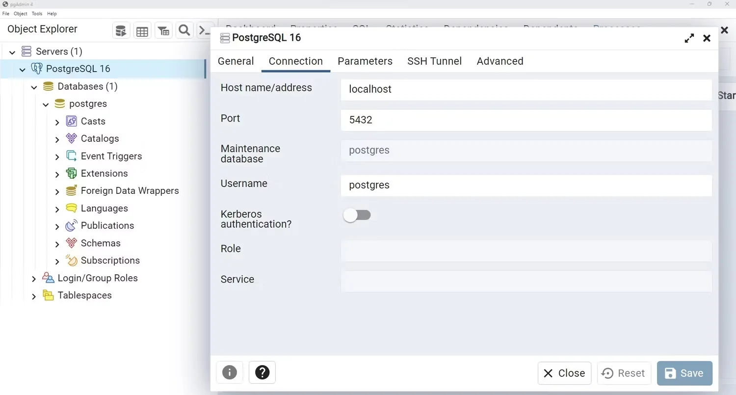 Connection details window within Postgres server